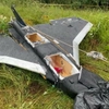 Premierul și președintele parlamentului lituanian au fost evacuați de urgență după prăbușirea unei drone