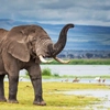 Viața unei femei de 49 de ani s-a schimbat complet după o excursie în Thailanda! „O întâlnire neașteptată mi-a oferit a doua șansă”