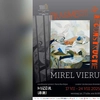 „Fragment și Reconstrucție”, expoziție semnată de artistul plastic Mirel Vieru la Muzeul Unirii din Iași