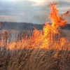 Un nou incendiu de vegetație uscată, la Iași. Pompierii au intervenit în satul Pârcovaci