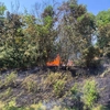 Incendiu de vegetație în Grădina Botanică din Iași. Pompierii au intervenit de urgență