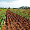 Vești bune pentru fermieri! Vor fi lansate măsurile mult așteptate pentru investițiile din domeniul agricol