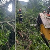 Castelul Peleș, lovit de furie naturii! Furtuna a făcut ravagii în Sinaia, monumente istorice grav avariate
