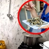 Piedone, oripilat de modul în care se prepară hamsiile pe litoral. Ce a găsit la un control într-o cherhana