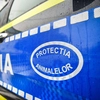 Tânăr din Pașcani, arestat preventiv după ce a ucis un cățel de două luni