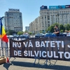 Protest al silvicultorilor la București! Angajați din Iași și alte județe au venit să ceară schimbări în ROMSILVA