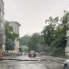 Un stâlp de iluminat a căzut pe strada Orientului din Nicolina, municipiul Iași