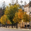 Această localitate va fi una dintre cele mai sigure din țară! Iată ce sistem inteligent implementează primăria pentru siguranța cetățenilor