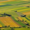AGRO-STAR avertizează că reducerile salariale din agricultură pun în pericol securitatea alimentară a României