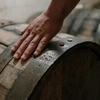 Top 5 produse de vinificație esențiale pentru micii viticultori