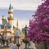 O prințesă Disney refuză să facă poze cu un fan! Motivul te va șoca