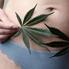 Femeile însărcinate au început să consume cannabis. Medicii trag un semnal de alarmă