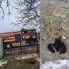 Tasare de teren la Aroneanu! Echipajele ISU Iași intervin pentru securizarea zonei – UPDATE