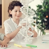 Elevii de gimnaziu din Iași strălucesc la Olimpiada Națională de Biologie: Premiul I și numeroase distincții pentru lotul județean