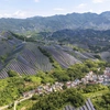 Războiul din Iran a schimbat piața energiei. China profită de petrolul ieftin, dar apar și riscuri economice