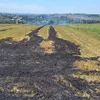 Incendiu de vegetație uscată la Iași. Pompierii intervin