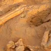 Rămășițe umane găsite la Popricani. Procurorii au deschis o anchetă
