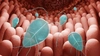 Ce tratament există pentru infecția cu Giardia lamblia? Află cât durează vindecarea și ce soluții există!