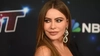 Sofia Vergara, afirmații surprinzătoare despre viitoarele sale relații romantice: „Vreau pe cineva care are cel puțin…”