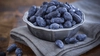 Cum se cultivă afinul siberian? „Fructul tinereții” care are cei mai mulți antioxidanți din lume!