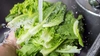 Ce beneficii are salata verde și cum poate fi preparată? Iată ce trebuie să știi!