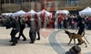 Eveniment interactiv la Palas Iași de Ziua Poliției
