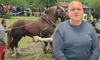 Moartea calului Falko zguduie opinia publică. Cazul a fost analizat de specialiștii DSVSA Iași. Dr. Cosmin Radu: „Proprietarul l-a suprasolicitat. Totul, pentru a câștiga acel concurs”