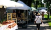 Primăria Municipiului Iași va cheltui 16.000 de lei pentru Târgul de ceramică tradițională „Cucuteni 5000” și Festivalul de Fanfare