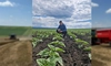 Flavius Stoica, tânărul fermier care modernizează agricultura românească: „E mai mult decât o meserie”
