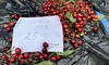 Dacă știu unde să caute, ieșenii pot găsi cireșe românești în piețele din oraș! Prețul per kilogram ajunge la 25 de lei