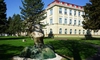 Regina Nordului luminează campusul USV Iași: artă și tehnologie într-o sculptură spectaculoasă