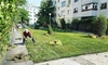 Românii pot beneficia gratuit de aceste lucruri! Primăria a făcut anunțul