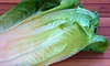 Salata romană – Iată ce beneficii incredibile are și cum o poți prepara