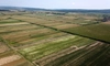 Crește valoarea creditelor garantate pentru fermieri. Ieșenii pot accesa „de 5 ori subvenția”