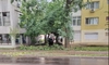 Intervenție pentru îndepărtarea unui copac în pericol de prăbușire în municipiul Iași