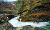Cascada Putnei este un colț de rai din inima Vrancei. Natură sălbatică și liniște la fiecare pas