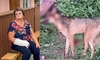 Este panică într-o comunitate din Iași: o femeie a fost atacată de un șacal turbat, în propria curte: „Am căzut din picioare, iar el mă mușca. Țipam să mă salveze cineva”