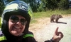 Detaliu șocant găsit în telefonul turistului italian ucis de urs pe Transfăgărășan. Reacții din partea autorităților și specialiștilor – VIDEO