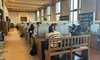 Acesta este locul preferat al studenților. Ultima lună de studiu și-au petrecut-o aici