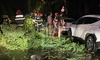 Un arbore a căzut peste trei autoturisme parcate pe Aleea Tudor Neculai, municipiul Iași