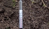 Când se plantează roșiile în solarul neîncălzit? Iată ce trebuie să știi pentru o recoltă bogată și sănătoasă