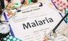 Caz de malarie confirmat în România. În ce stare se află pacientul