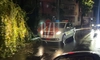 Un alt copac a căzut în municipiul Iași! Poaia face ravagii