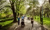 În Iași, în zona Sărărie, vor fi amenajate un parc și o pădure urbană: „Într-un oraș cu un ritm alert de dezvoltare urbană și trafic intens, fiecare copac contează”