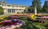 Începe expoziția „Flori de Toamnă”. Vizitatorii vor putea admira în Grădina Botanică din Iași crizanteme, dovleci uriași și cel mai scump ardei iute din lume