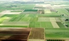 Sumele pe care le primesc fermierii din Iași pentru sectorul ecologic. Plata subvențiilor începe pe 16 octombrie 2026