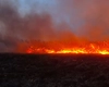 Incendiu de vegetație uscată în Voinești! Pompierii intervin