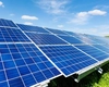 Programul Casa Verde Fotovoltaice, zguduit de scandaluri și decizii judecătorești! AFM, acuzată de abuzuri și favoritisme politice