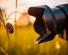 Macro photography: cum să surprinzi detalii incredibile cu obiectivul potrivit?