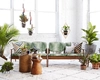 Plantele decorative contribuie la eleganța casei. Care sunt cele mai populare?